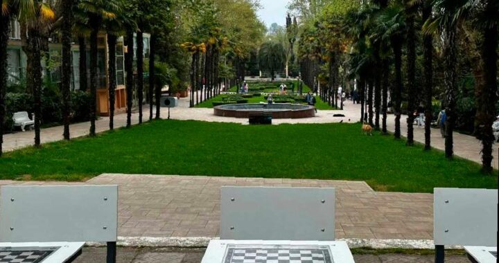 Шахматная гостиная переехала в парке «Ривьера»