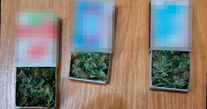 В Сочи задержали местного жителя за хранение наркотиков
