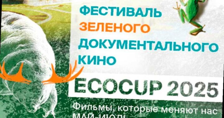 Международный фестиваль документального кино ECOCUP’25 открылся в Сочи