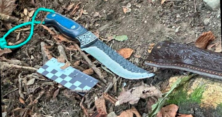 Браконьер убил медведя в Сочинском нацпарке