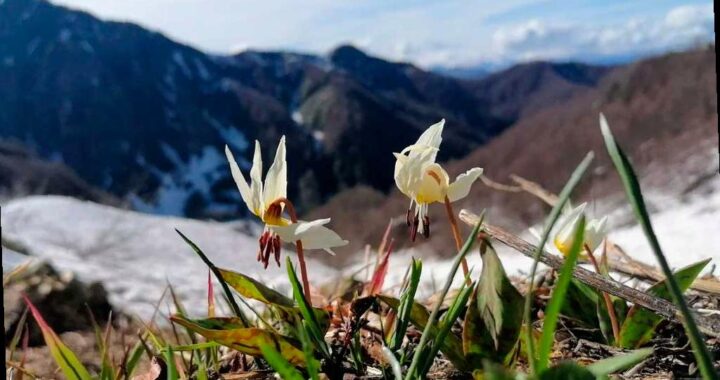 Фотовыставка победителей конкурса «Четыре сезона красоты» откроется в Сочи