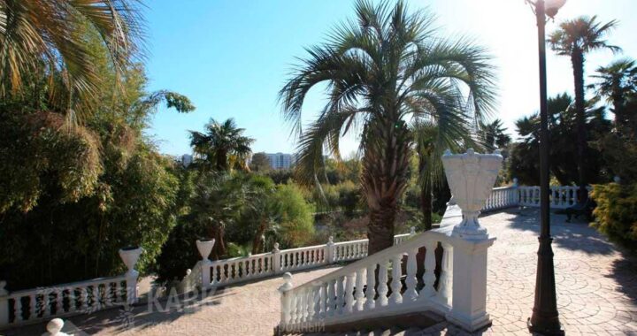 Парк «Южные культуры» отмечает 115-летие: подготовлен исторический флешмоб