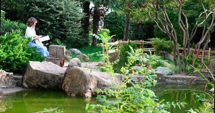 На реконструкцию Сада Российско-Японской дружбы в Сочи выделено 15 миллионов рублей из краевого бюджета. Парк обновляется поэтапно, сейчас проводятся работы по озеленению. Планируется посадить около 3,5 тысяч деревьев, кустарников и цветов.