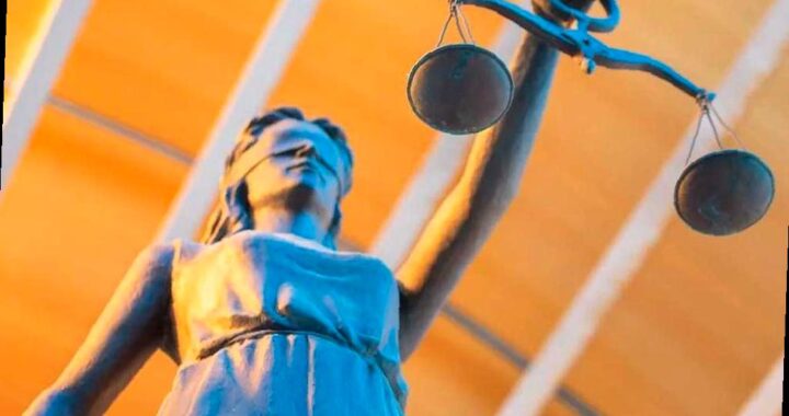 Штраф в 10 млн рублей за вырубку растений на участке в Сочи