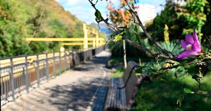 В Лазаревском районе Сочи появится новая аллея для прогулок