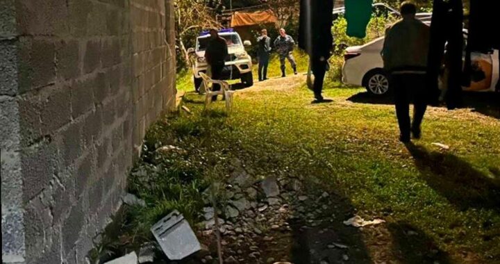 Алабай атаковал двух детей в Сочи