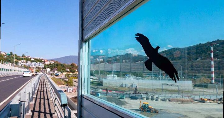 Дорожники в Сочи защищают птиц с помощью наклеек