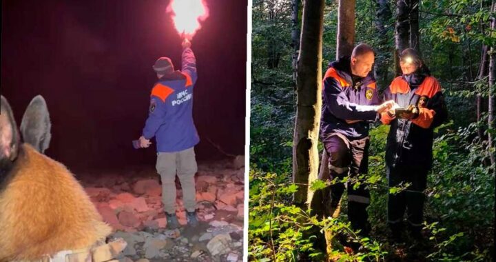 Пенсионерка провела ночь в лесу, но была найдена спасателями