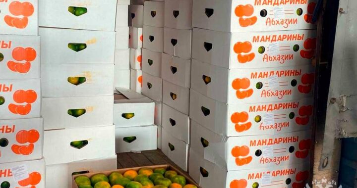 На российско-абхазской границе начался сезон мандаринов