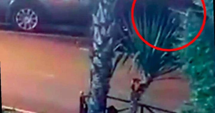 Пьяные гастролёры совершили кражи в Сочи