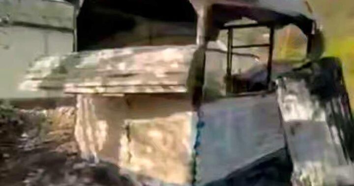 В Сочи неизвестные сожгли двух собак