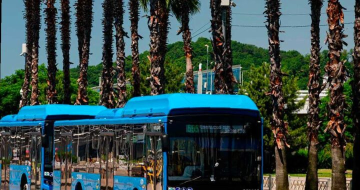 В Сириусе добавят вечерние автобусы для футбольных болельщиков