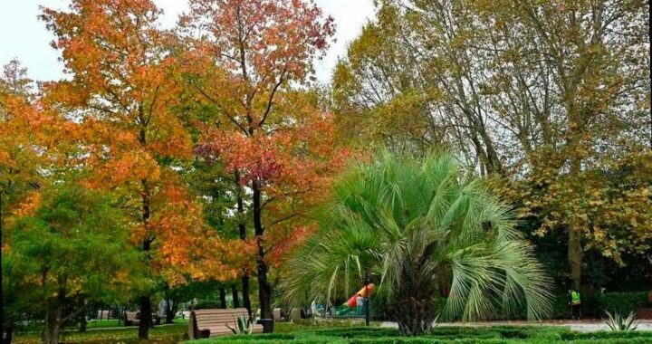 В Хосте открыли обновлённый парк к Дню народного единства