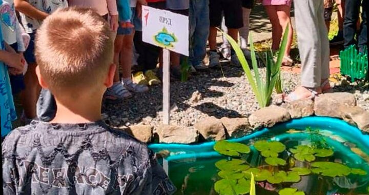 Три сочинские школы получат по 100 тысяч рублей на реализацию экопроектов