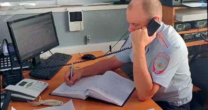 В Сочи проверяют случаи стрельбы по животным