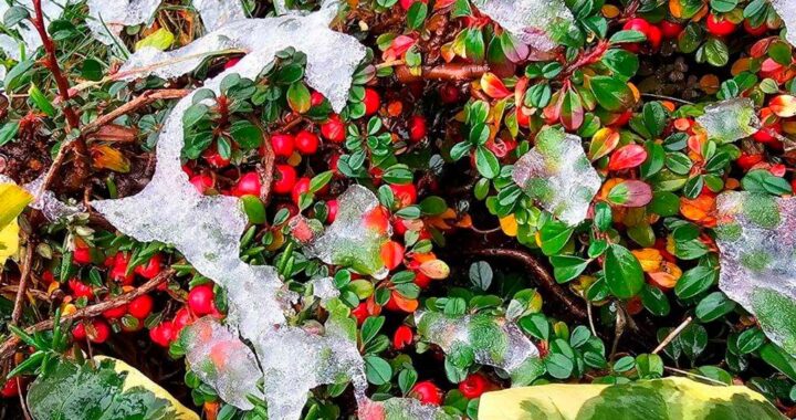 Холодная погода приближается к Сочи