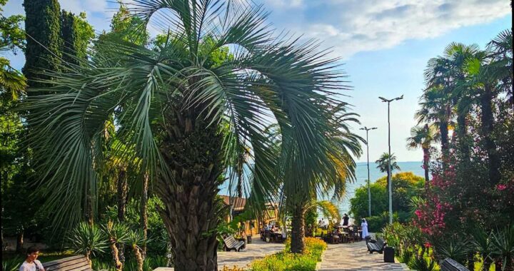 Рост туристов в Сочи: новые рекорды ожидаются к 2025 году