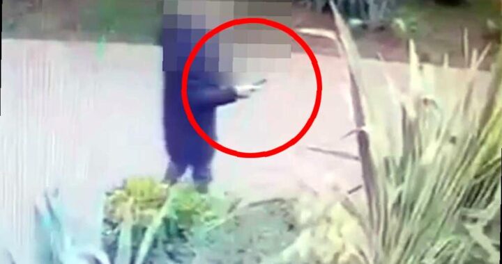 Сочинец нашел потерянный телефон и теперь ему грозит тюремный срок