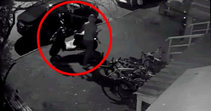 В Адлере задержан похититель мопеда на Новый год