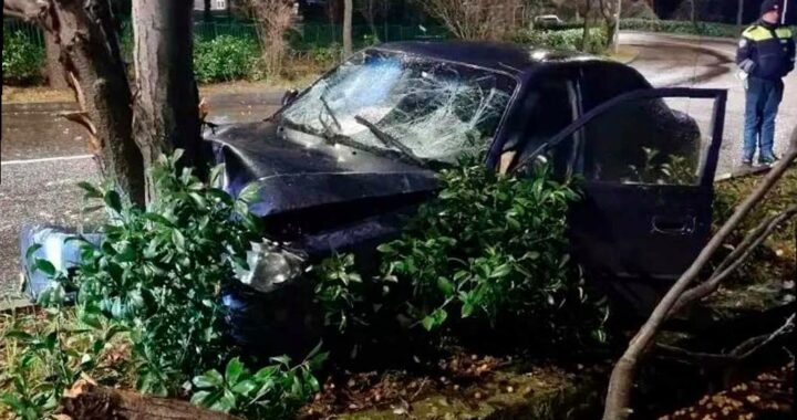 Подросток в Сочи аварийно столкнулся с деревом