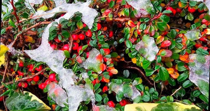 Сильный снег ожидается в предгорьях Сочи 16 января