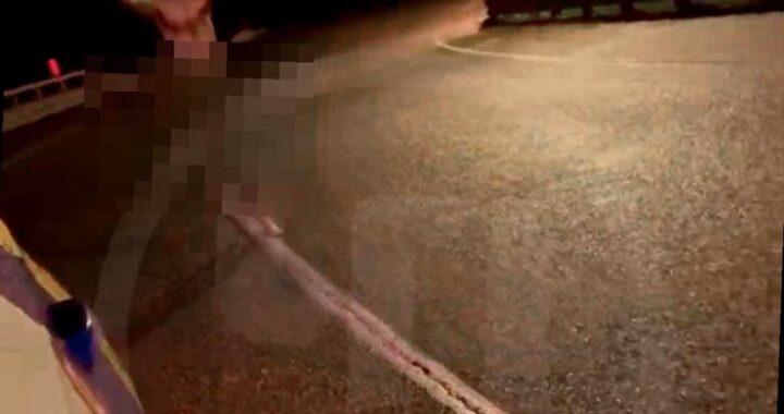 Голый мужчина напугал водителей на трассе в Сочи