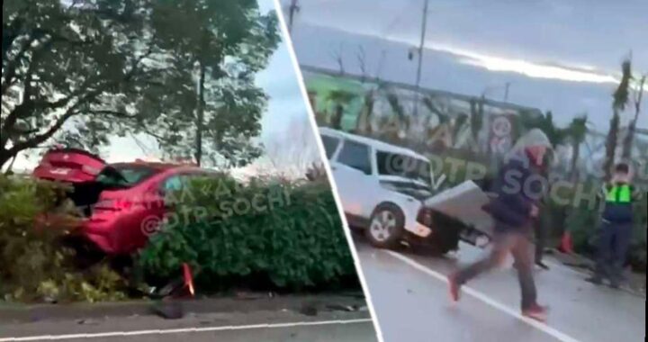 В Адлере произошла авария: легковушка улетела в кусты