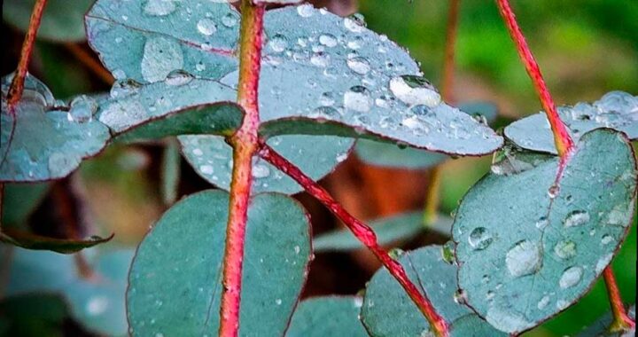 Во вторник в Сочи прогнозируют сильный дождь