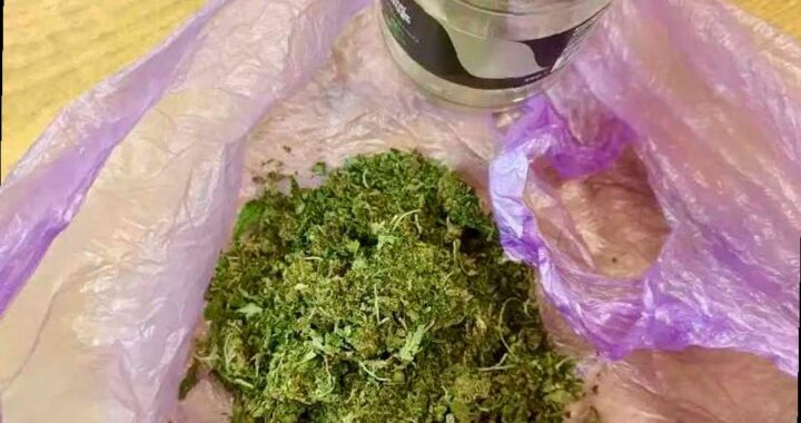 Приехал на заработки, получил статью: в Сочи задержали приезжего с мар