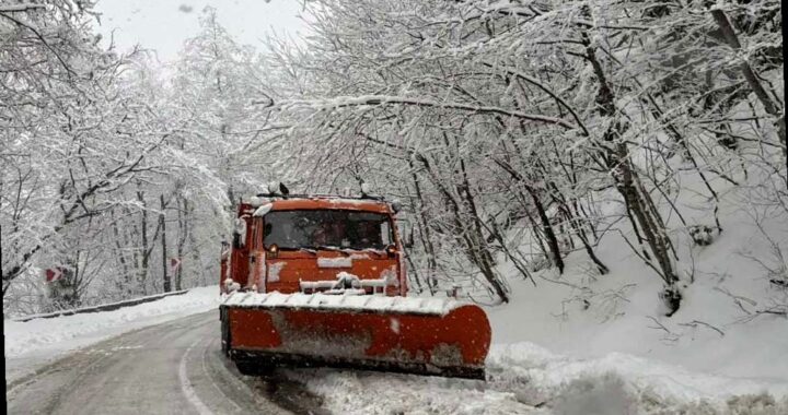 В Сочи прогнозируют сильный снегопад этой ночью