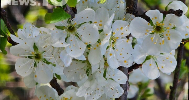 Солнце или дожди: какая погода будет в Сочи на этой неделе